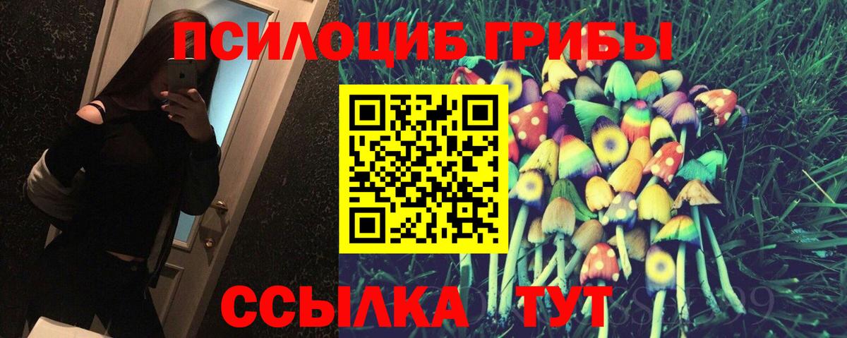  COCAIN Гудермес