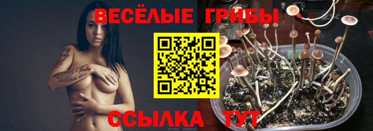 Псилоцибиновые грибы мухоморы  Вход с VPN  Гудермес 