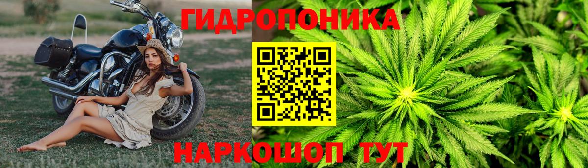 Шишки марихуана THC 21% Гудермес